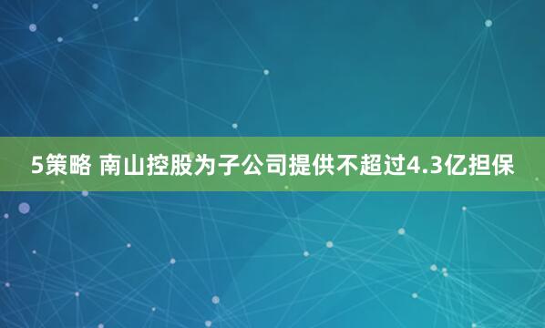 5策略 南山控股为子公司提供不超过4.3亿担保